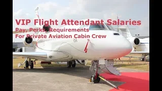 VIP Flight Attendant Salary, Cabin Crew Pay, Private Jet Stewardess