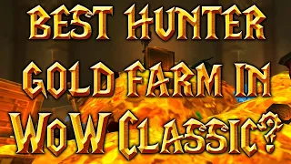 Is This The Best Hunter Gold Farm in Classic WoW?