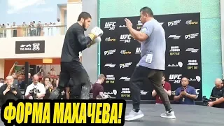 ИСЛАМ МАХАЧЕВ НА ОТКРЫТОЙ ТРЕНИРОВКЕ ПЕРЕД UFC 242