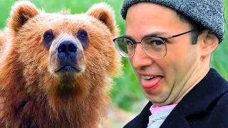 The Try Guys Feed Wild Animals In Alaska • The Try Vlog