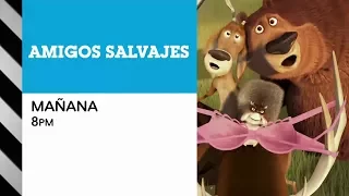 Cartoon Network LA - PROMO CINE CARTOON - Amigos Salvajes (29/09/2017)