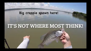 Big Crappie Spawn HERE and it's not where you may think! Most lakes have this!