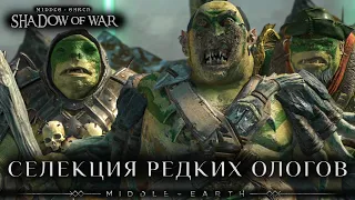 Middle-earth: Shadow of War - Селекция РЕДКИХ Ологов