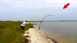 This is Why You Throw Live Baits Off the Beach