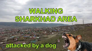 WALKING TOUR OF SHARKHAD - ШАРХАД (ULAANBAATAR 4K)