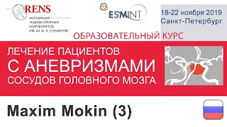 Maxim Mokin, «Cerebral aneurysms»
