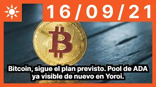 Bitcoin, sigue el plan previsto. Pool de ADA ya visible de nuevo en Yoroi.