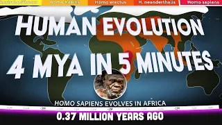 Human Evolution - 4 Million Years in 5 Minutes - 4K