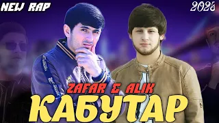 ZAF & ALIK -🕊КАБУТАР🕊🥀  БА ПУШТИ БОМИ ХОНАТ NEW RAP 2023