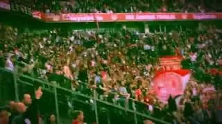 Bayer Leverkusen - 1. FC Köln 1-2 07.11.2015 Support und Feier im Gästeblock