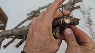 Take the dry twigs and branches to make rustic decoration farmhouse - DIY #diy