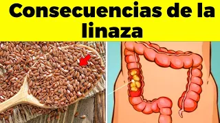 ¡REVELADO! Consecuencias de CONSUMIR LINAZA para tu cuerpo