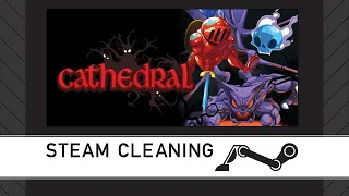 Steam Cleaning - Cathedral