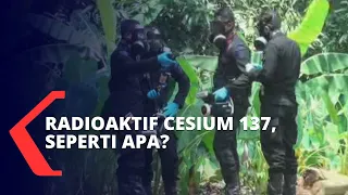 Radioaktif di Tangerang Selatan Berupa Zat Cesium 137, Seperti Apa?