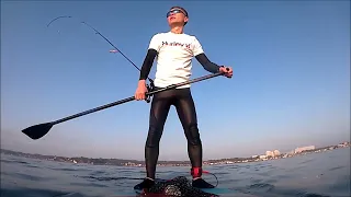 Stand Up Paddle Board  20240414