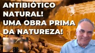 Antibiótico natural fantástico! Uma obra prima da Natureza!