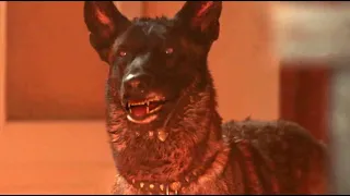 PREY (2020) Official Trailer (HD) KILLER DOG