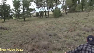 Man Vs Kangaroo (Boxing HD)