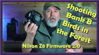 Shooting Bank B - Nikon Z8 Settings for photographing birds in the forest