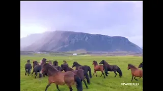 Яркая,очень сильная,грустная до слез музыка и в то же время очень красивая!