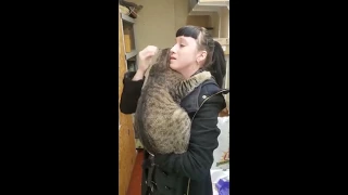 This Cat Wouldn't Let Go