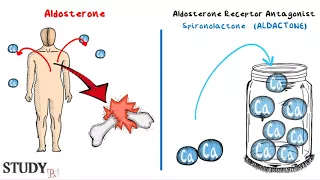 Aldosterone Receptor Antagonist - Spironolactone