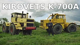 Kirovets K-700A – rolnik Łukasz nie zamieniłby go na nowy traktor