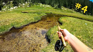 Catching a SUPER RARE TROUT?? (Threatened Species Pt 1)  || THE COLORADO SERIES