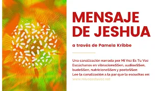 MENSAJE DE JESHUA a través de Pamela Kribbe