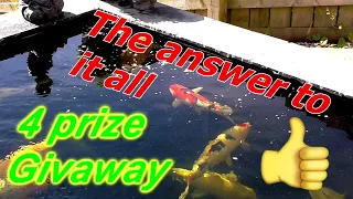 Koi Pond   *Answer Filter/ Vortex Outlet Upgrade  *Prize Giveaways!!