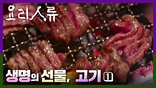 [명작다큐] 요리인류｜생명의 선물, 고기 (1/2) Food Odyssey