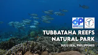 TUBBATAHA REEFS NATURAL PARK, PHILIPPINES | GoPro underwater video FULL HD | Scuba diving travel