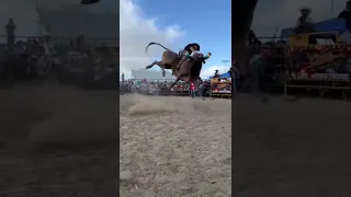 Amazing Cowboy Ride A Bull | PAPs #shorts #amazing