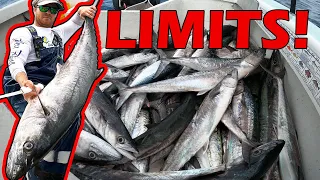 Commercial Fishing Payday! - Kingfish Limit