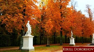 Shades of Autumn in Eastern Germany.