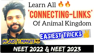 All 'CONNECTING LINKS' Of Animal Kingdom In 1 Minute 🔥🔥| Super Easy Tricks✌| Neet 2022 & Neet 2023