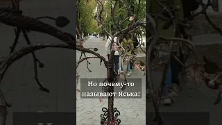 Меня зовут Ясиноватая