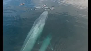 Sea Kayak Baja Mexico