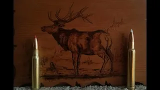 Top 5 Elk Hunting Cartridges