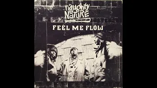 NAUGHTY BY NATURE : Feel Me Flow / 1995