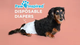 Ultra Protection Disposable Dog Diapers | Paw Inspired®