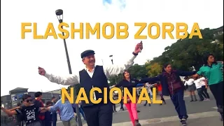 Flashmob Nacional Zorba Griego 2017 | Fundación Mustakis