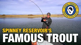 October Spinney Reservoir Trout (trout fishing); Fishful Thinker TV