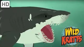 Wild Kratts - The Majestic Sea Creature - Shark Life | Kids Videos