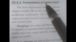 Composition of cattle feed