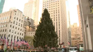 Security increased amid protests expected at Rockefeller Center Tree Lighting