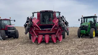 Case IH 4408F Corn Head