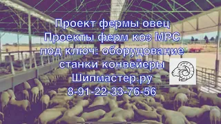 Проект фермы овец Проекты ферм коз МРС под ключ: оборудование станки конвейеры Шипмастер.ру