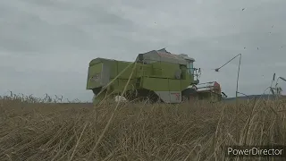 🔹️Akcja żniwa 2021.Claas w Akcji.🔹️