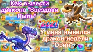 🦅У МЕНЯ ВЫВЕЛСЯ ДРАКОН НЕДЕЛИ «ОРЁЛ»🤯/КАК ВЫВЕСТИ ДРАКОНА ЗВЕЗДНАЯ ПЫЛЬ С ПЕРВОГО РАЗА?👼🏻✨